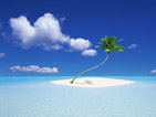 Summer wallpapers1
